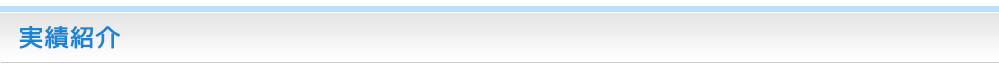 実績紹介